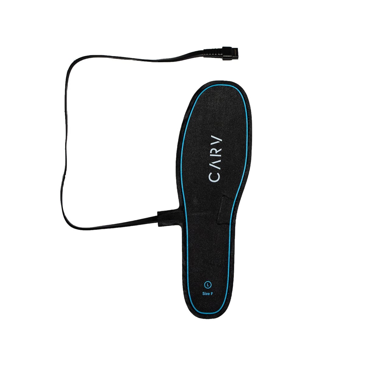 Carv Ski Coach