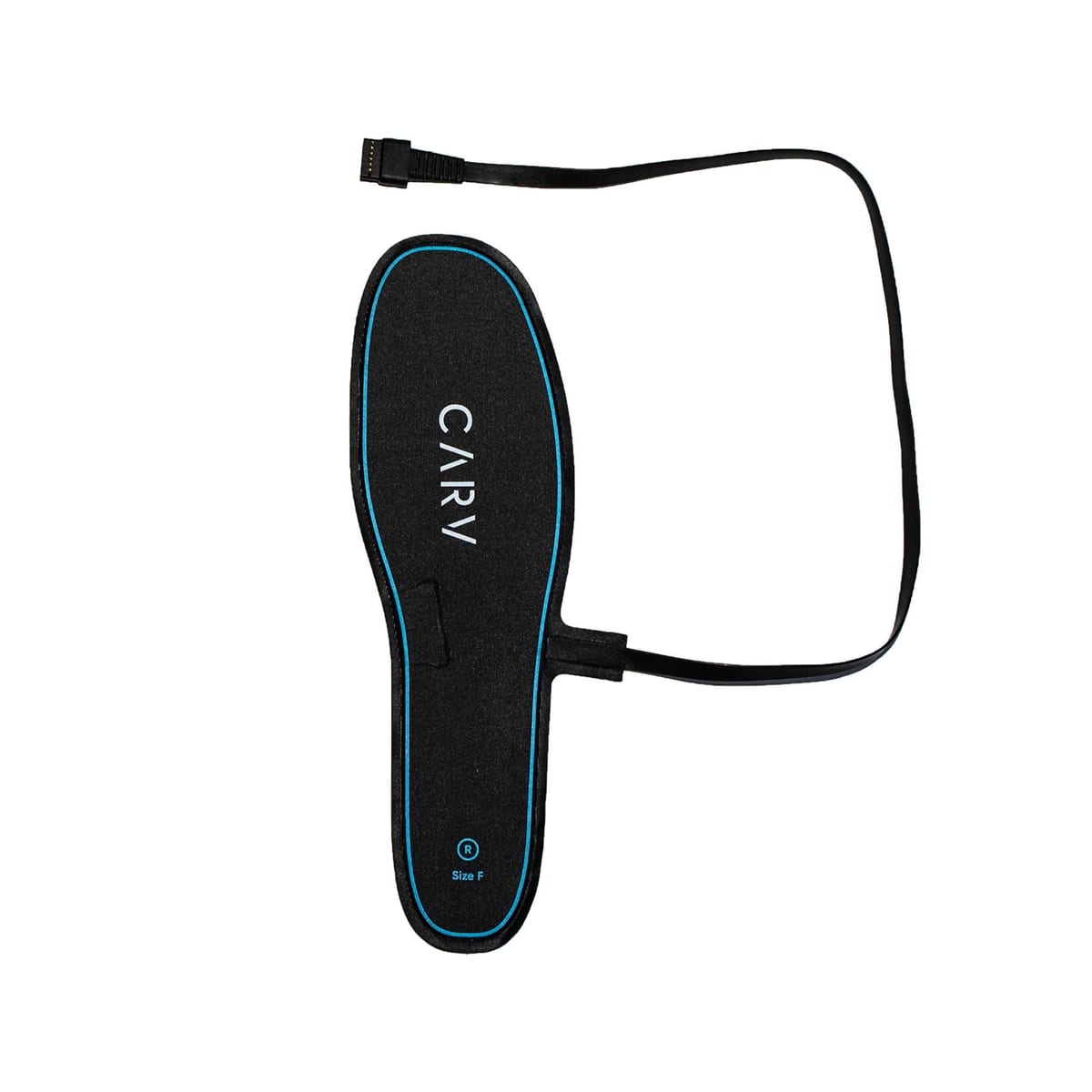 Carv Ski Coach