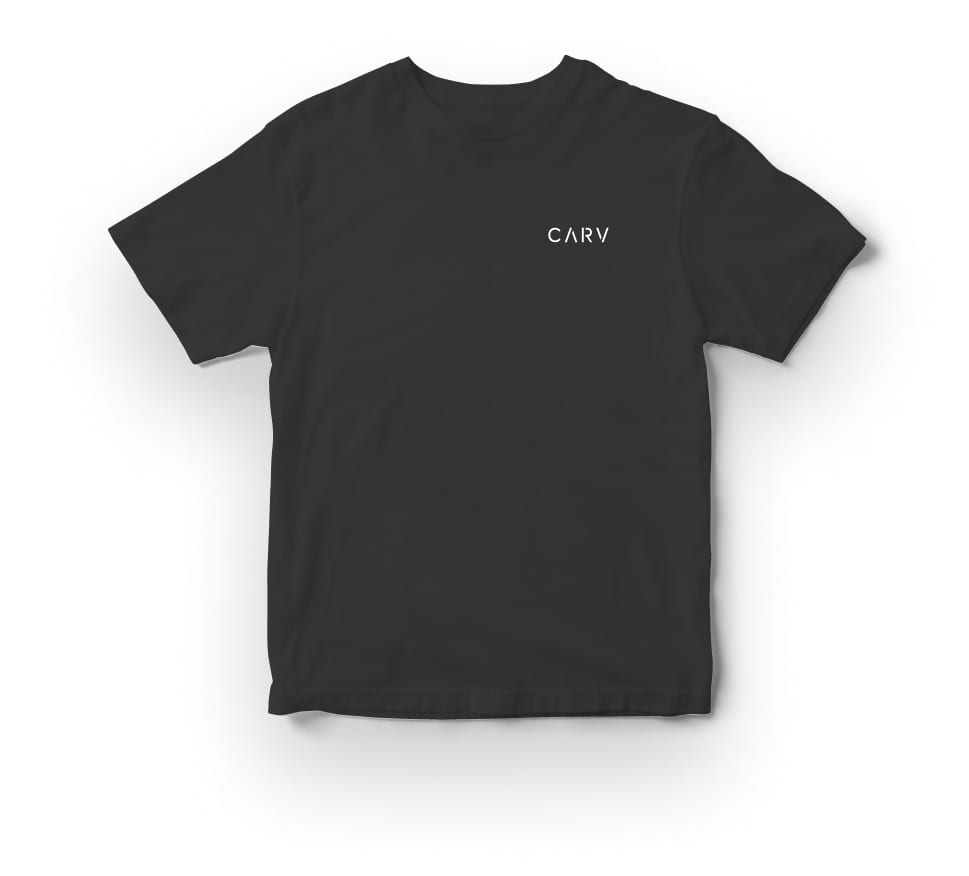 Carv Ski Coach