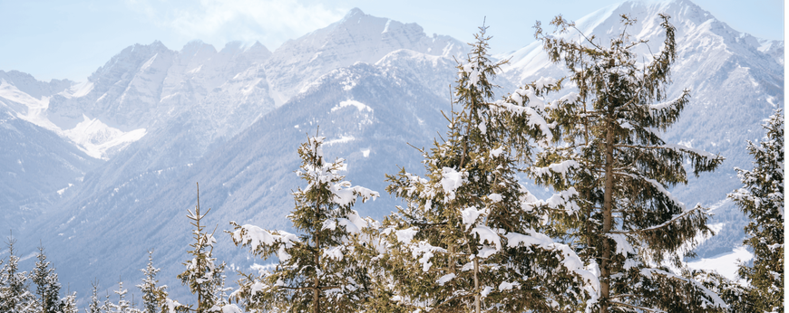 Real-time skiing analysis and audio coaching
